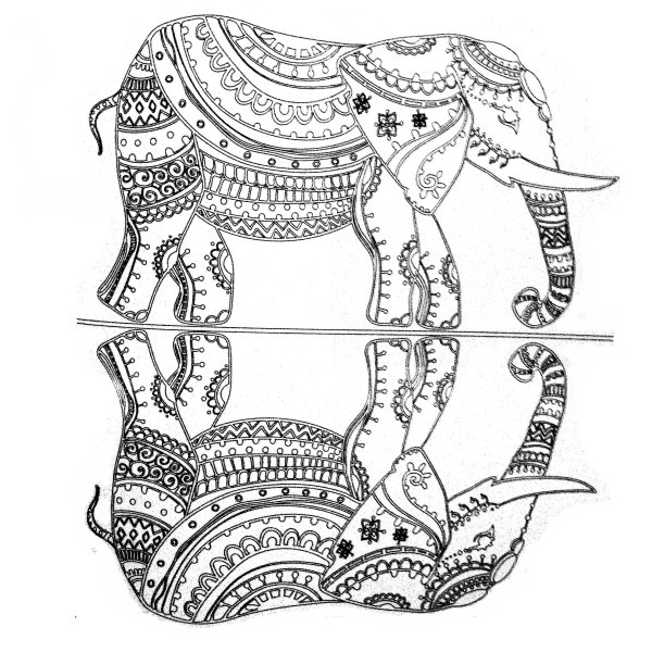 Слон калеграыичесчкий