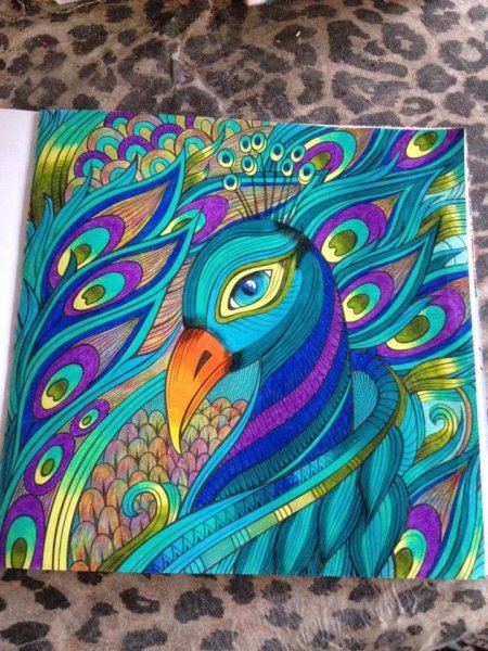 Павлин фломастерами