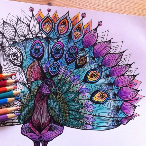 Мандала павлинье перо