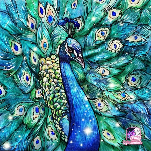 Павлин рисунок