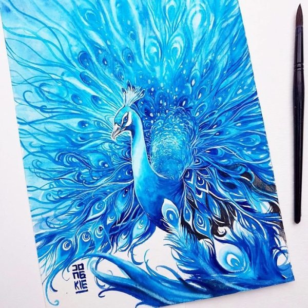 Акрил Павлин акварель