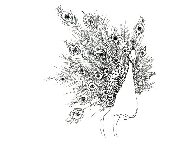 Павлин скетчинг