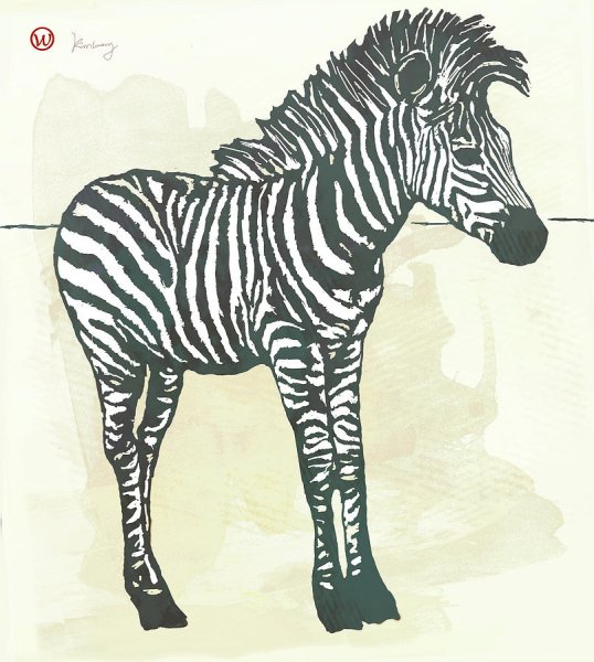 Зебра рисунок маркерами