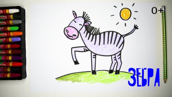 Зебра гуашью