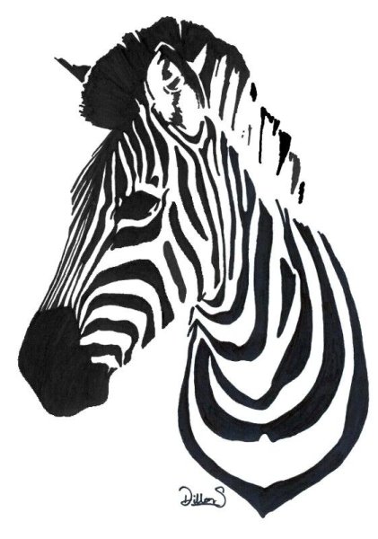 Зебра Разрисованная