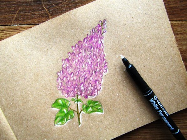 Сирень рисунок маркерами