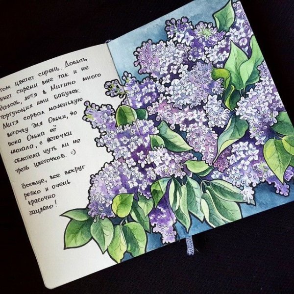 Скетчинг сирень