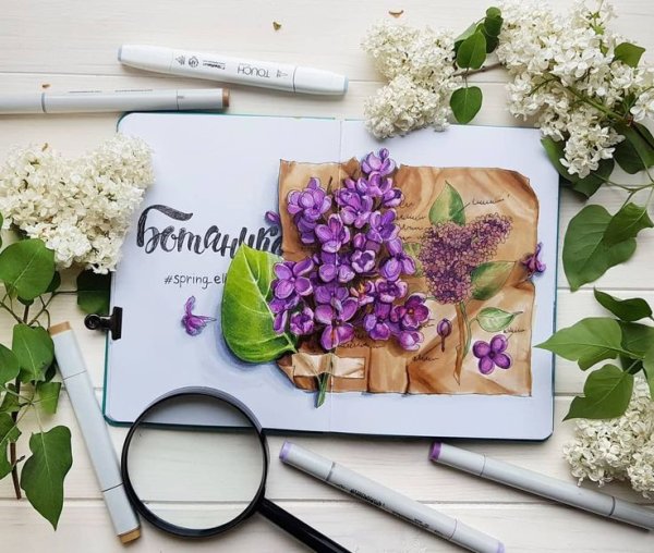 Сирень скетч маркерами