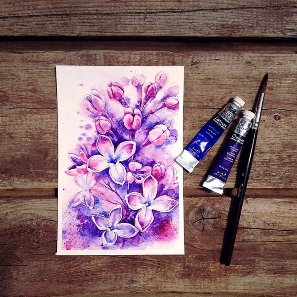 Рисование сирени акварелью