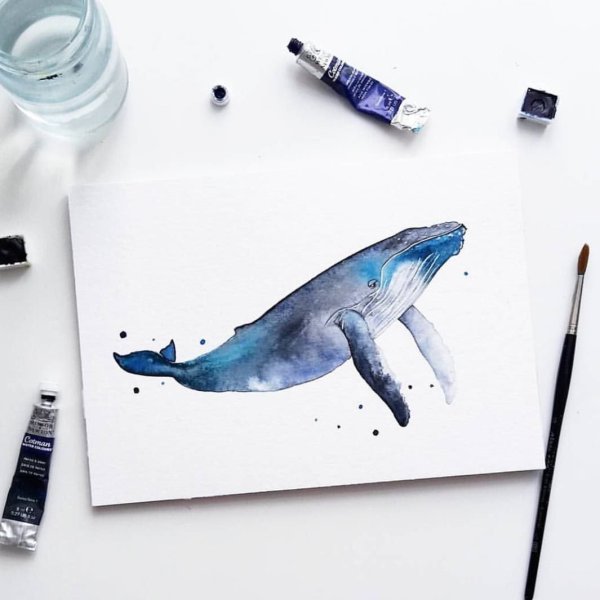 Кит скетч акварелью