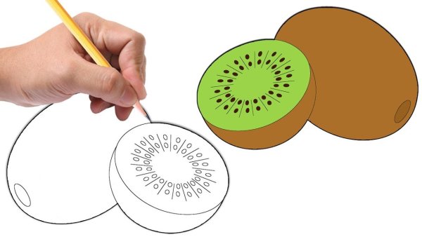 Скетчинг авокадо маркерами