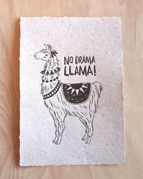 Лама Графика