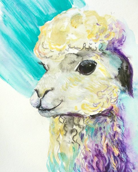 Лама для срисовки