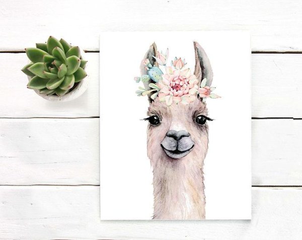 Рисунки из пинтереста