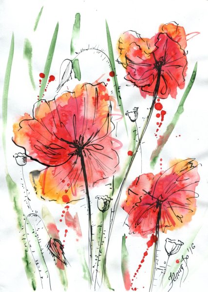 Маки скетчинг акварель
