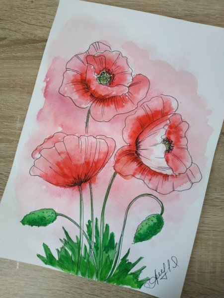 Маки гуашью