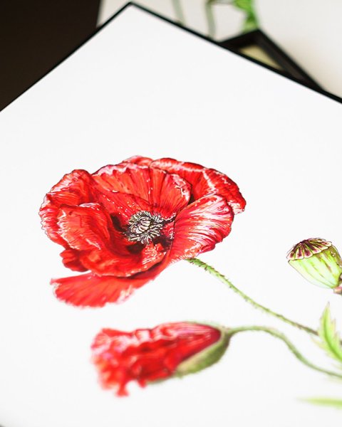 Мак рисунок маркером