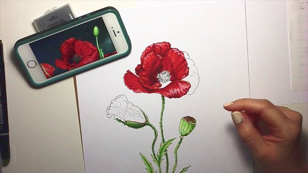 Стилизация цветов акварелью