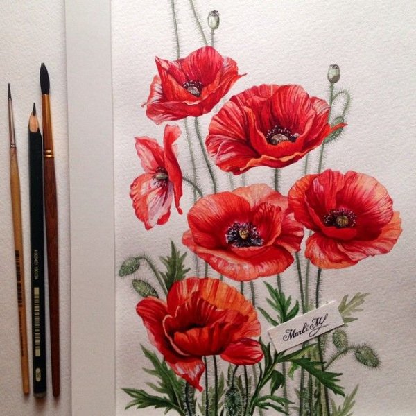 Маки маркерами