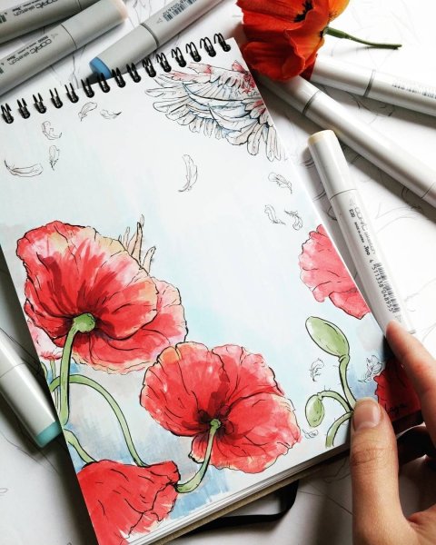 Скетч акварелью Мак