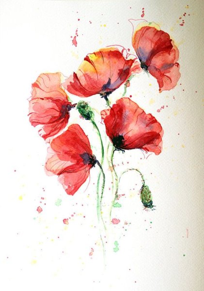 Маки рисунок маркерами