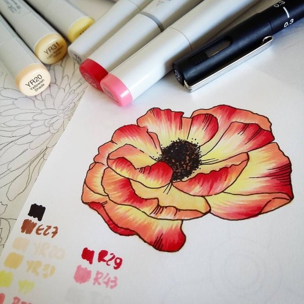 Маки скетчинг