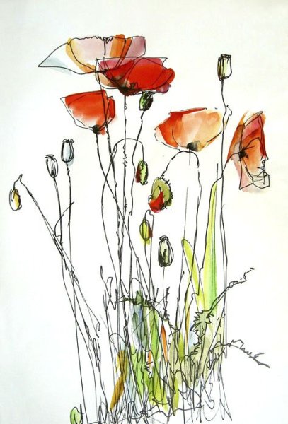 Мак Нарисовая