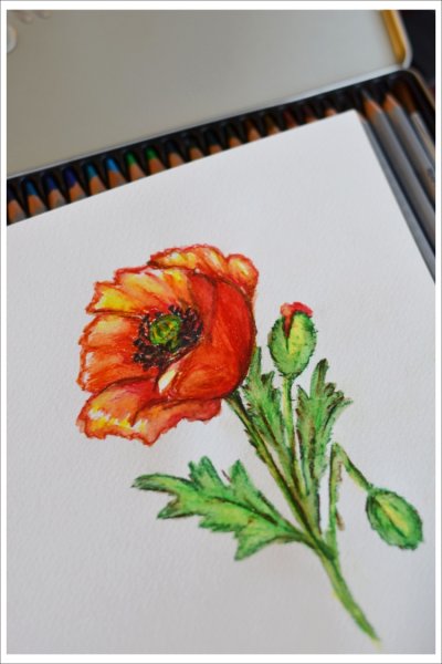 Цветы Наброски живопись