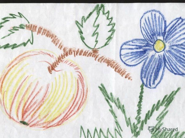 Рисование штрихами в детском саду