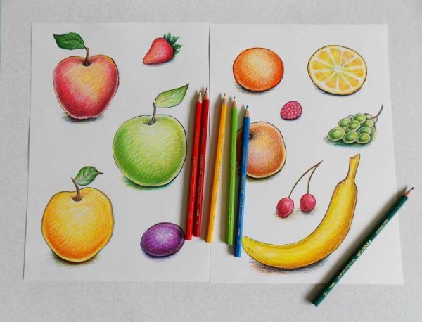 Фрукты для рисования