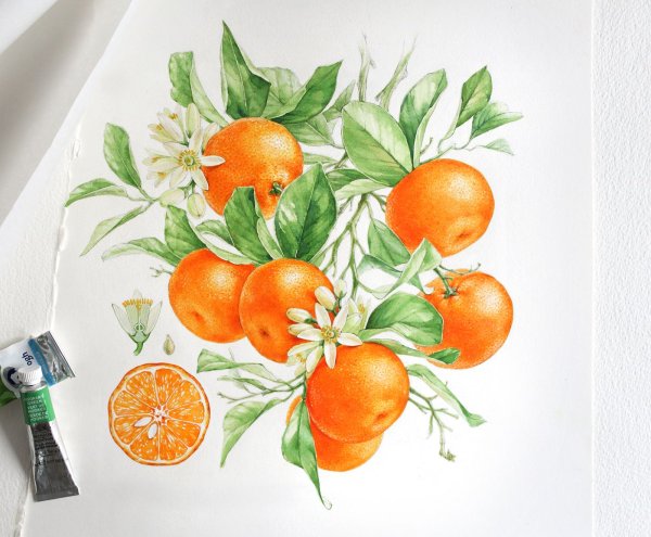 Ягоды акварелью