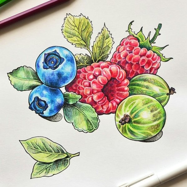 Рисование цветными карандашами фрукты