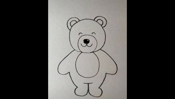 Как нарисовать мишку фото