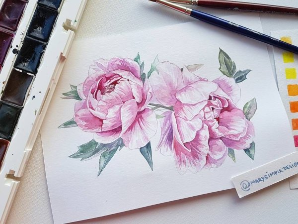 Пионы скетчинг маркерами