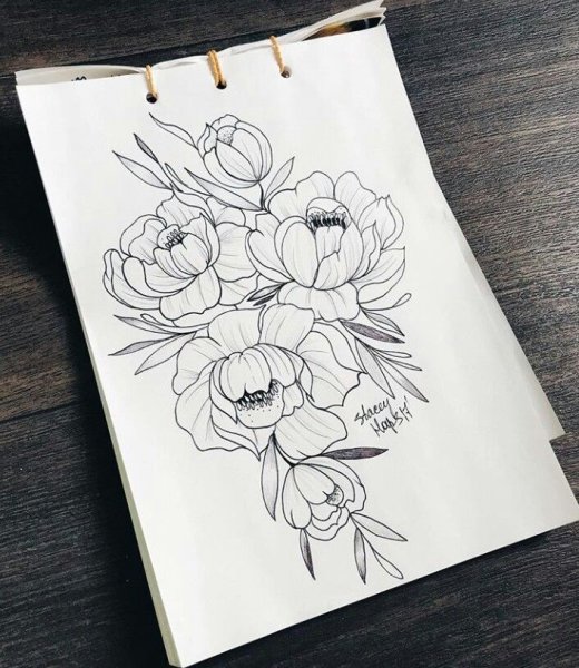 Пионы маркерами