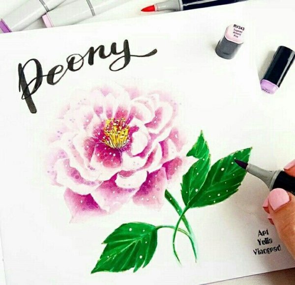 Пионы фломастерами