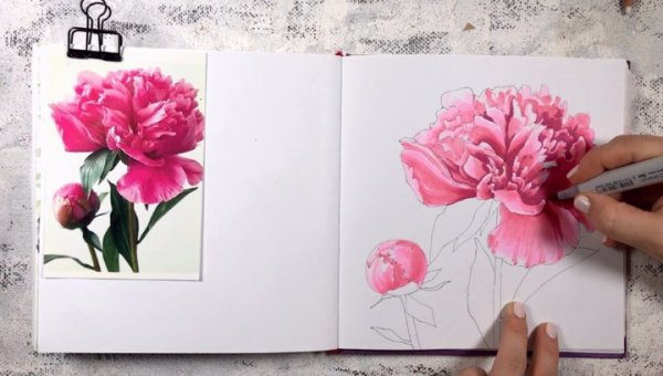 Пион скетч маркерами