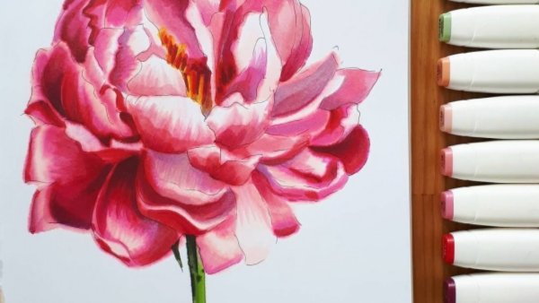 Уроки рисования пионы