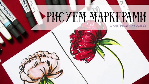 Рисуем пионы спиртовыми маркерами