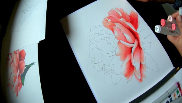 Как нарисовать пионы маркерами