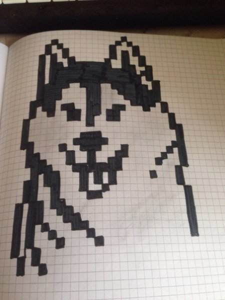 Рисунки по клеточкам чёрной ручкой