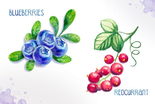 Голубика маркерами