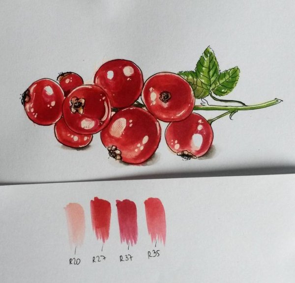 Рисование ягод маркерами