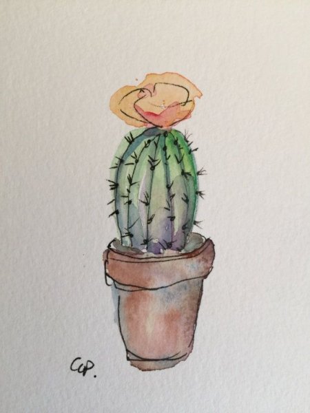 Кактус набросок