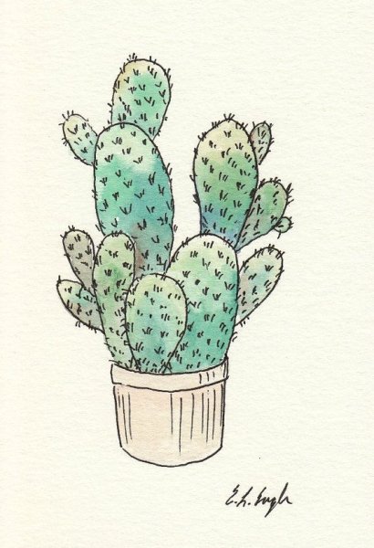 Кактусы для скетчбука
