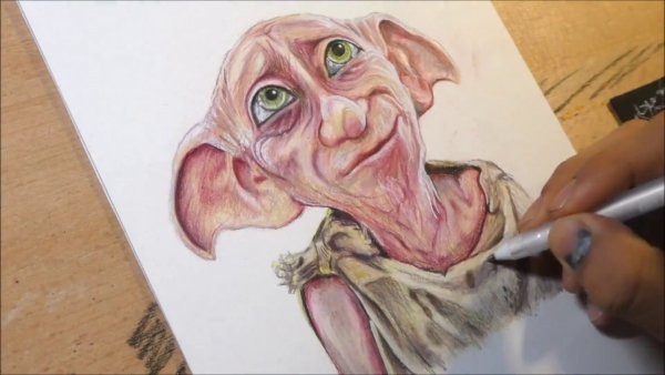 Добби портрет цветными карандашами