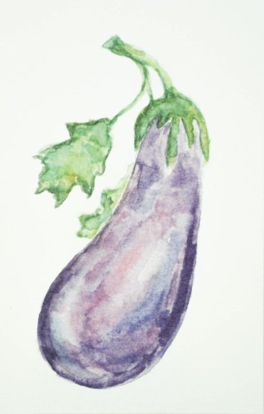 Баклажан акварелью Андрияки