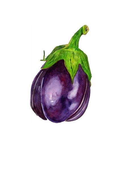Баклажан скетч