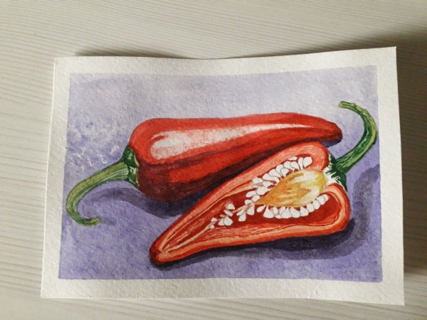 Овощи акварель на белом фоне