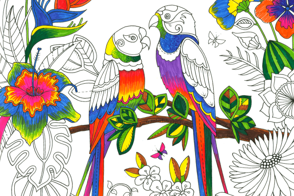 Маркеры Копик скетч